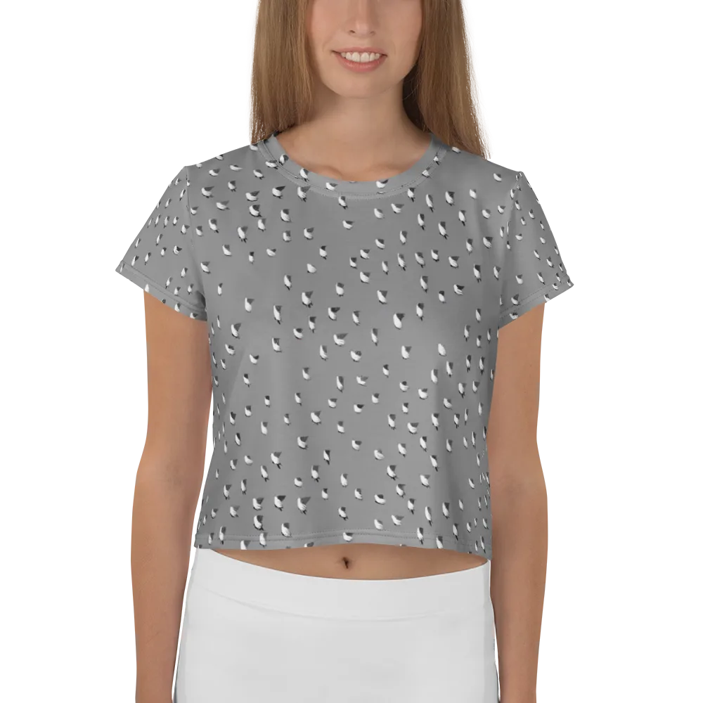 Silver Wings on Crop Tee — Front