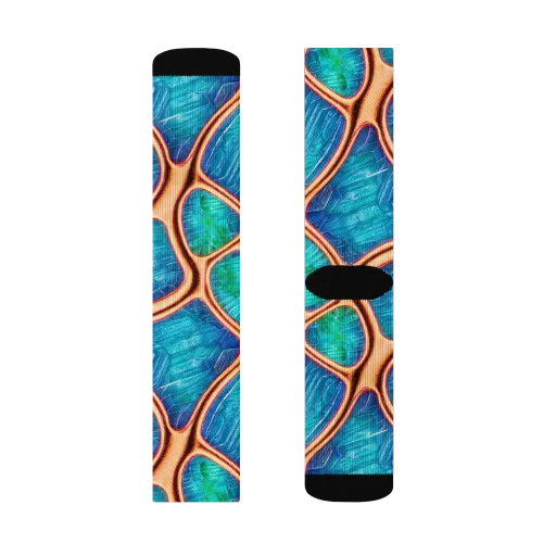 Amber Reef on a Socks