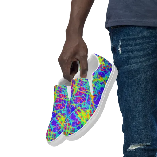 Radiant Mutation on a Men's Slip-On Canvas Shoes