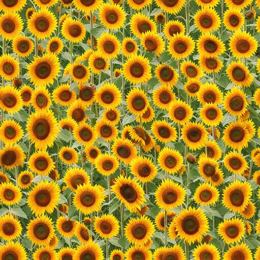 The Sunflower Rush pattern