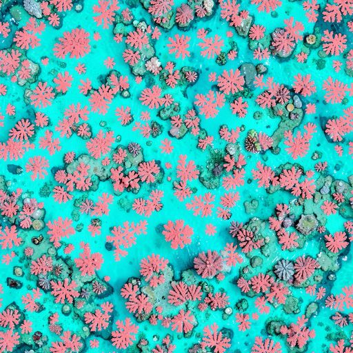 The Coral Mirage pattern
