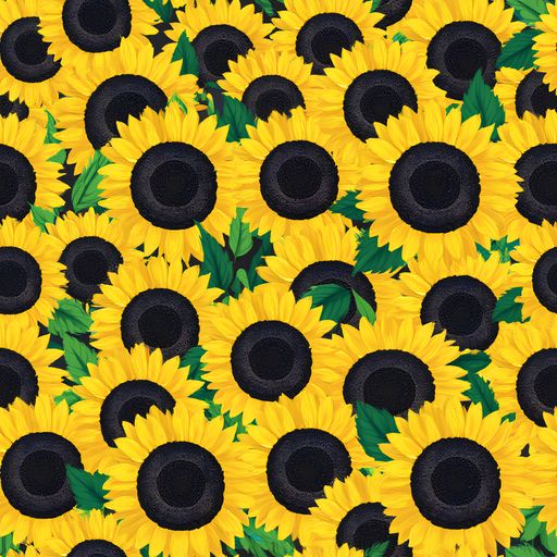 The Sunlit Abundance pattern