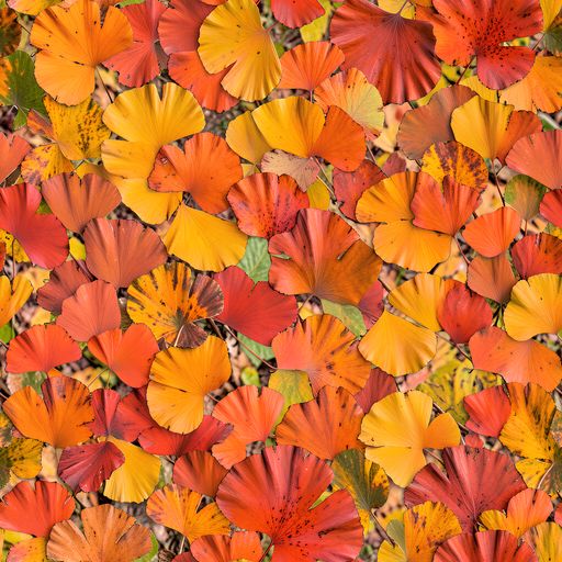 The Autumn Ember pattern