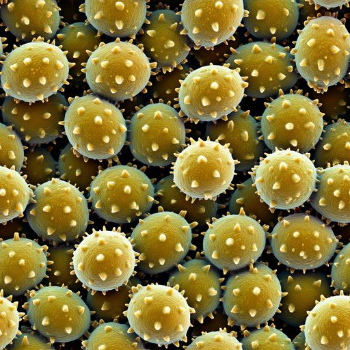 The Golden Spore pattern