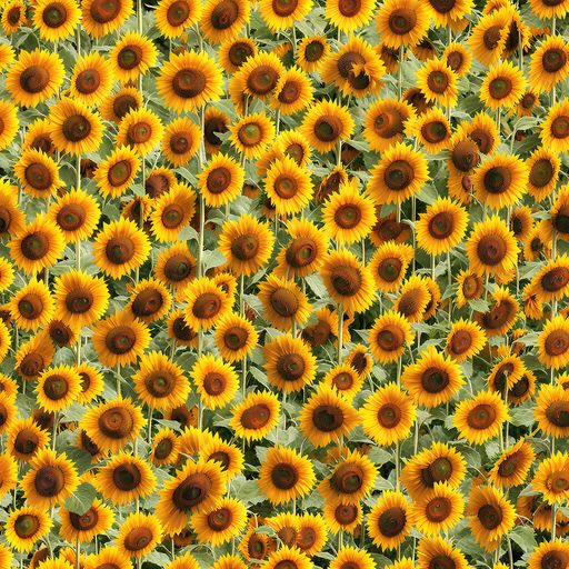 The Golden Sunflower Meadow pattern