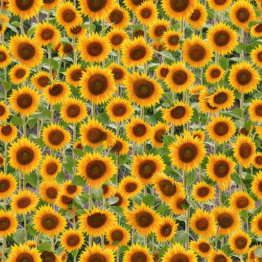 The Golden Bloom pattern