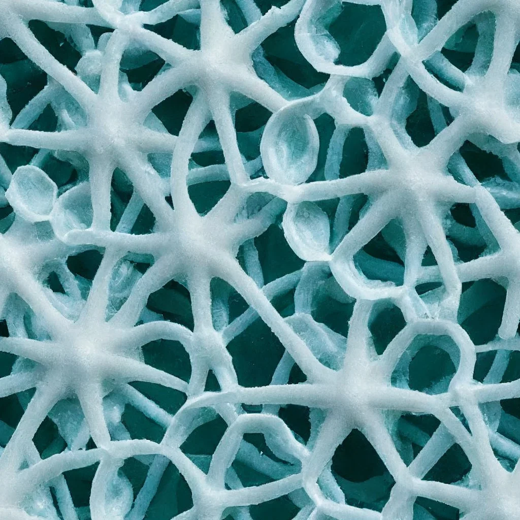 The Arctic Coral pattern