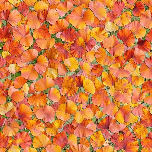 The Amber Reverie pattern