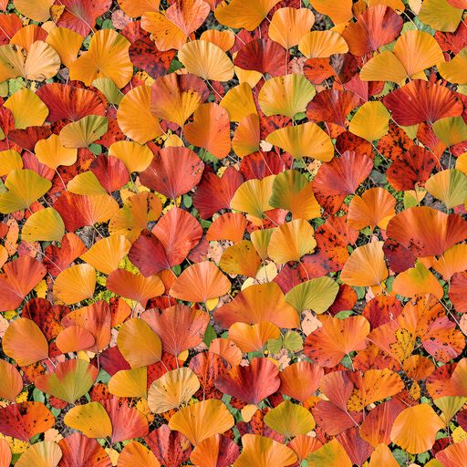 The Autumn Fan Dance pattern