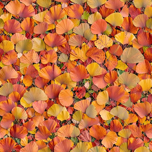 The Amber Canopy pattern