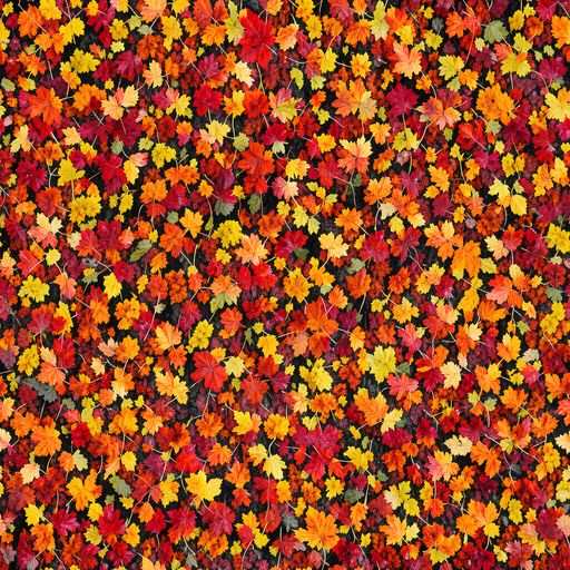 The Maple Inferno pattern